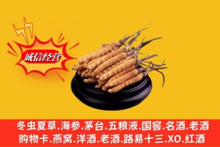 赣州会昌县求购回收虫草多少钱每克